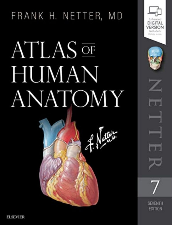 Atlas of Human Anatomy Frank H Netter