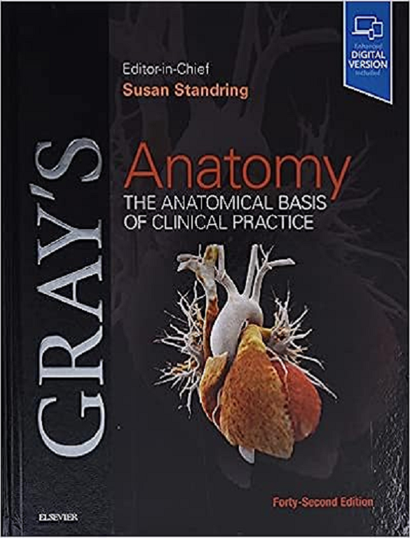 Grays Anatomy The Anatomical Basis of Clinical Practice
